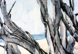 “Albero”, acrilico, cm. 70 x 100, 1987